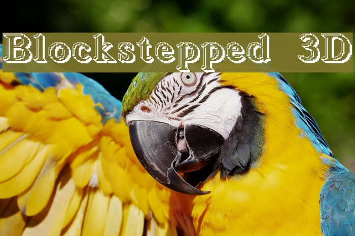 Blockstepped 3D Font examples