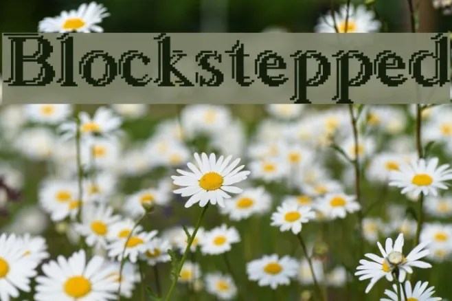 Blockstepped Example 1
