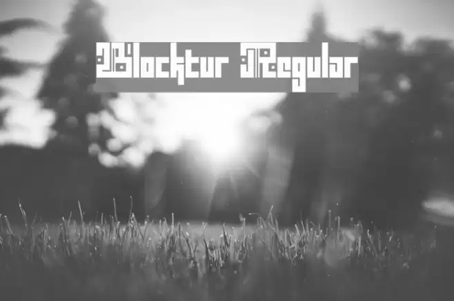 Blocktur Regular Font examples