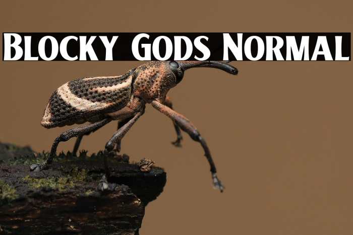 Blocky Gods Normal Example 3