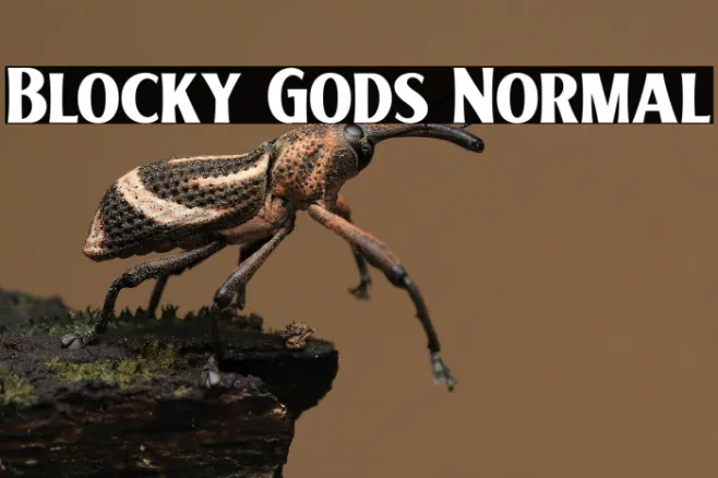 Blocky Gods Normal Example 3