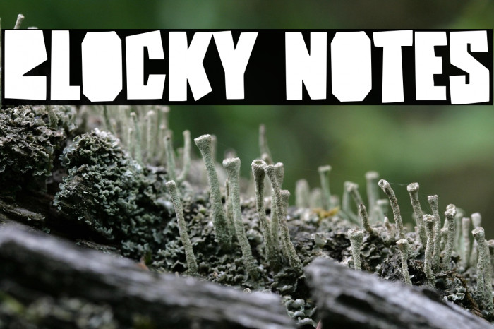 Blocky Notes Example 3