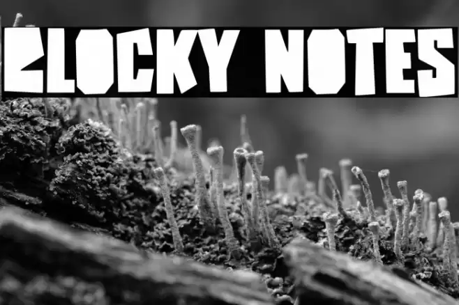 Blocky Notes 字体 examples