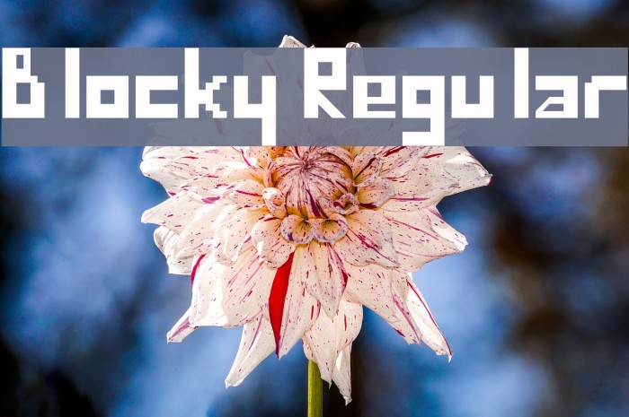 Blocky Regular Font examples
