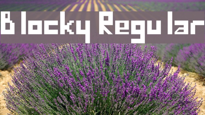 Blocky Regular Font examples