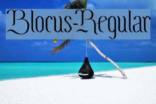 Blocus-Regular Example 1