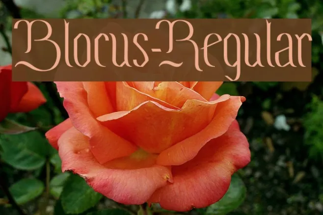 Blocus-Regular Example 3