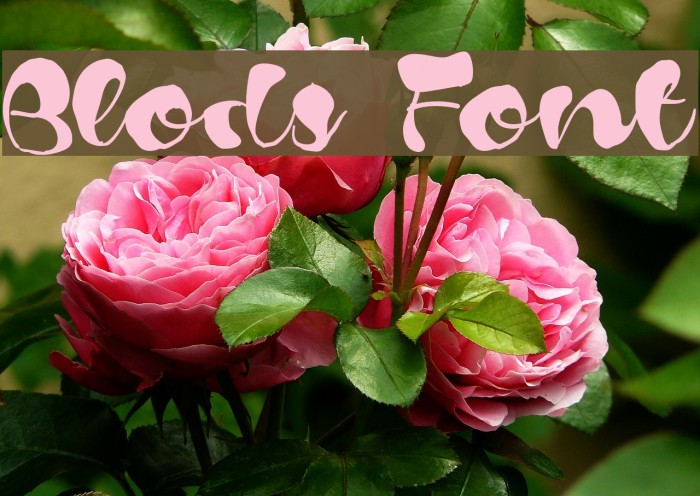 Blods Font examples