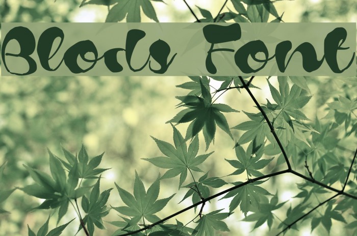 Blods Font examples