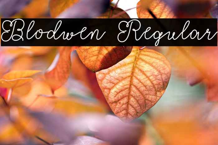 Blodwen Regular Example 1