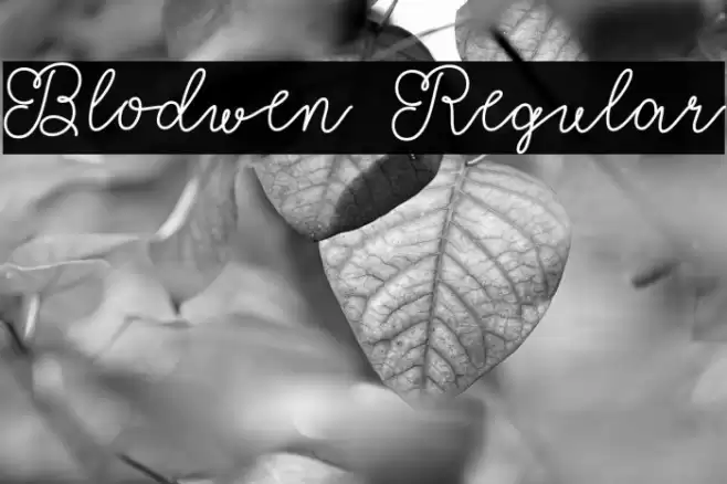 Blodwen Regular Polices examples