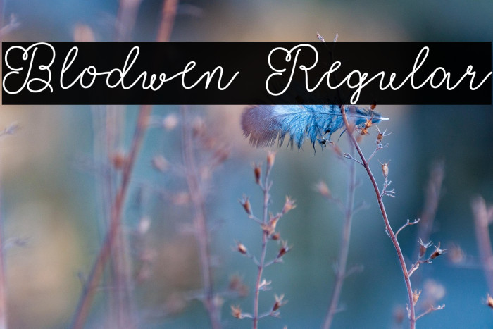 Blodwen Regular Example 2
