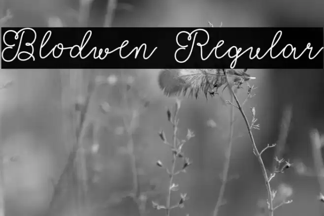 Blodwen Regular Polices examples