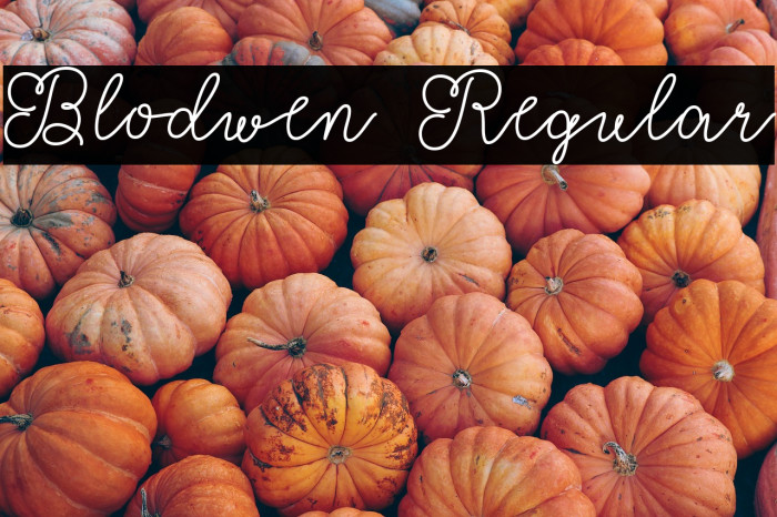 Blodwen Regular Example 3