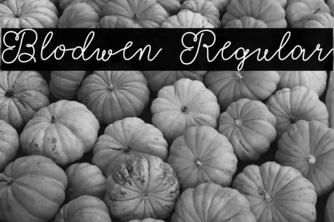 Blodwen Regular Polices examples