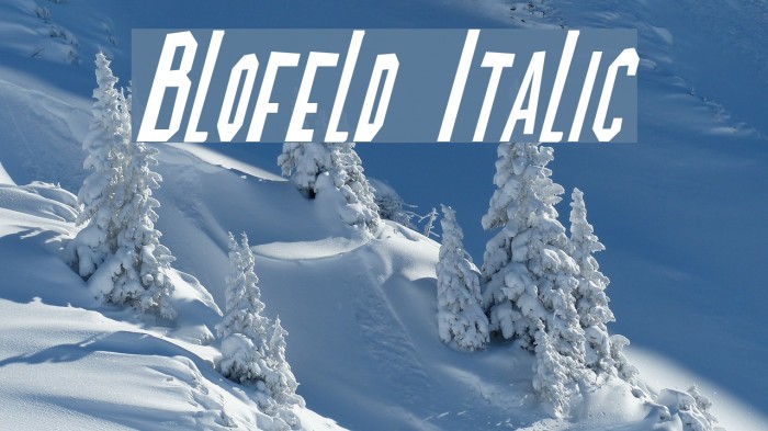 Blofeld Italic Шрифта examples