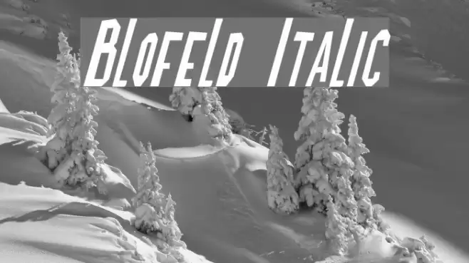 Blofeld Italic Шрифта examples