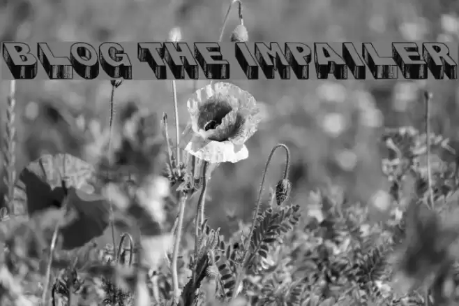 Blog the Impailer Font examples