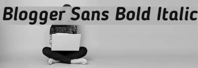 Blogger Sans Bold Italic Font examples