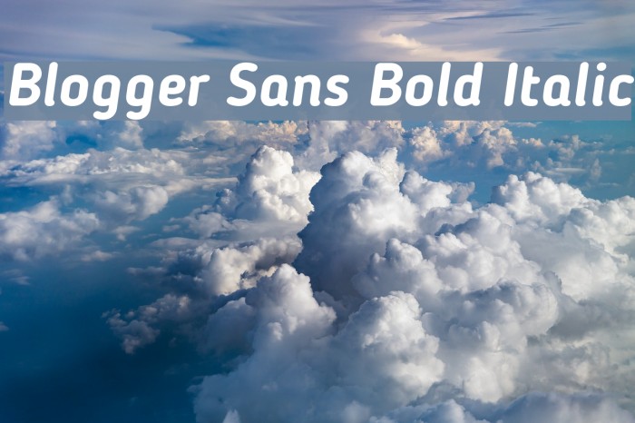 Blogger Sans Bold Italic Font examples