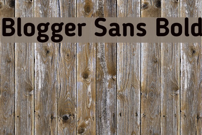 Blogger Sans Bold Font examples