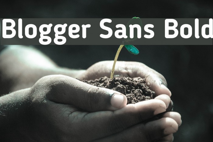 Blogger Sans Bold Font examples