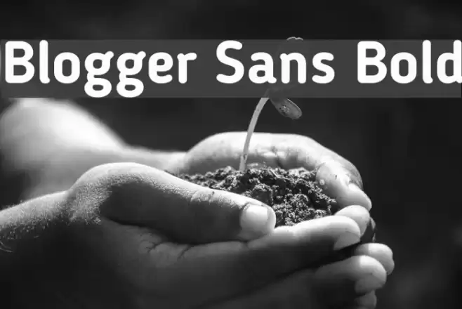 Blogger Sans Bold Schriftart examples