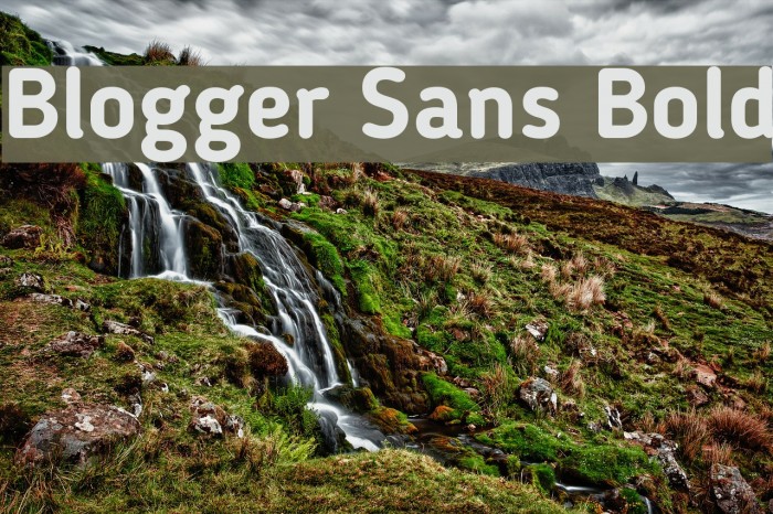 Blogger Sans Bold Font examples