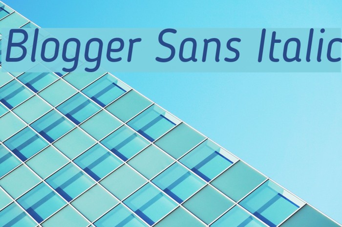 Blogger Sans Italic Font examples