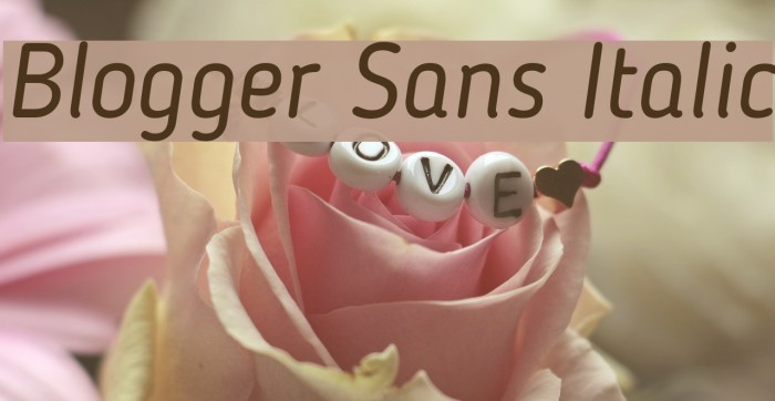 Blogger Sans Italic Font examples