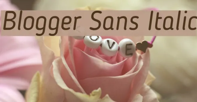 Blogger Sans Italic Example 2
