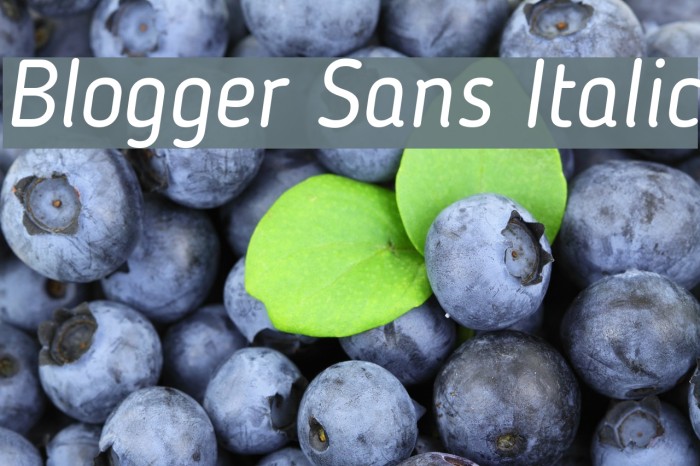 Blogger Sans Italic Font examples
