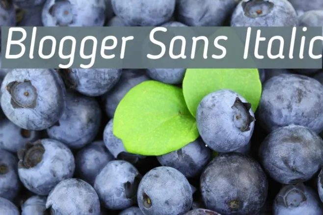 Blogger Sans Italic Example 3