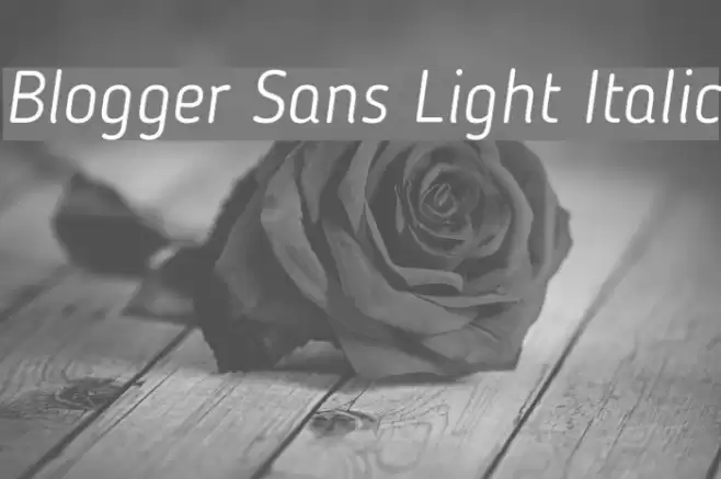 Blogger Sans Light Italic Font examples