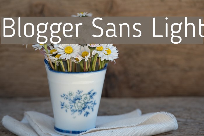 Blogger Sans Light Font examples