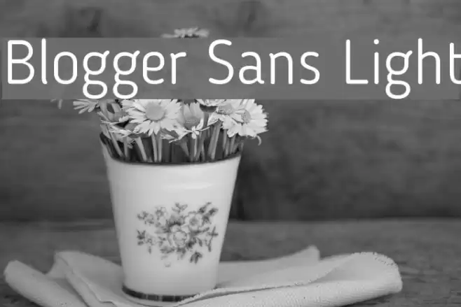 Blogger Sans Light フォント examples