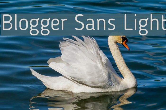 Blogger Sans Light Font examples