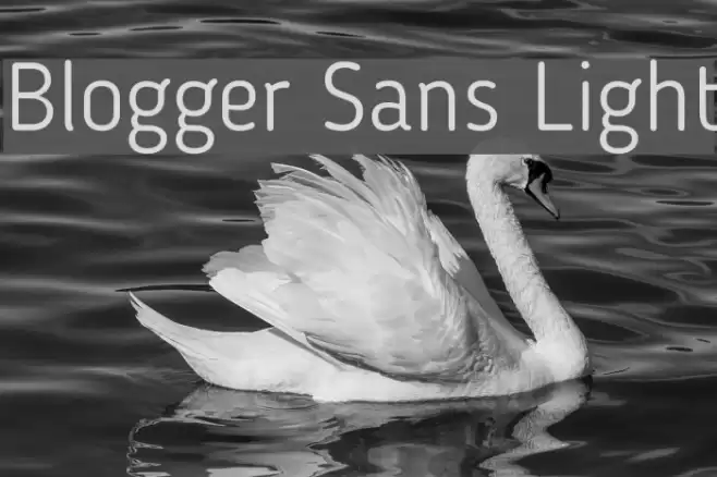 Blogger Sans Light フォント examples