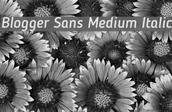 Blogger Sans Medium Italic Font examples