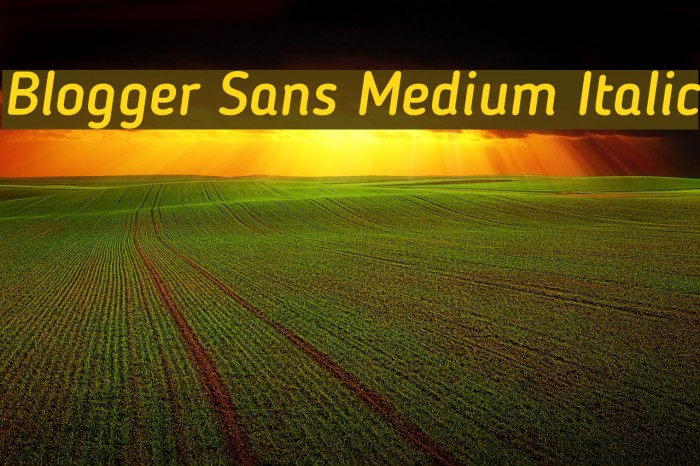 Blogger Sans Medium Italic Font examples