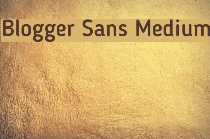 Blogger Sans Medium Font examples