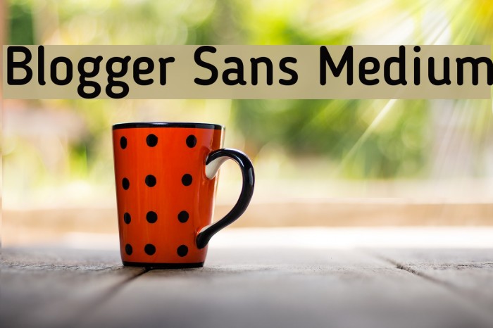 Blogger Sans Medium Font examples
