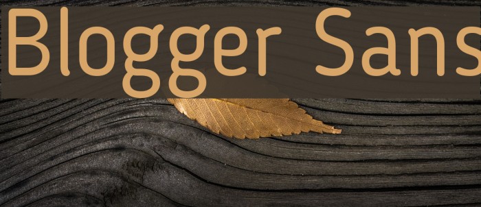Blogger Sans Font examples