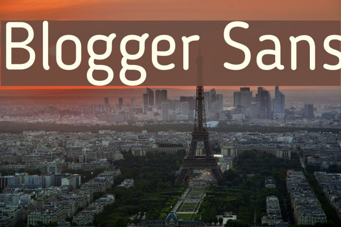 Blogger Sans Font examples