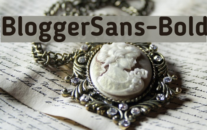 BloggerSans-Bold Font examples