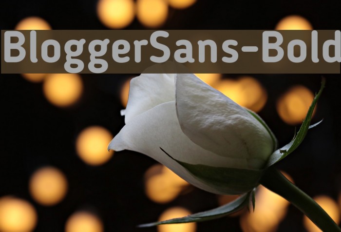 BloggerSans-Bold Font examples