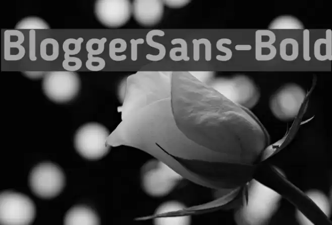 BloggerSans-Bold フォント examples