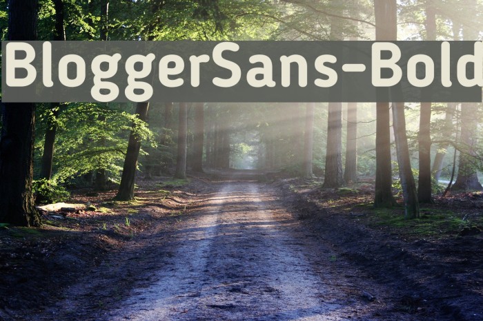 BloggerSans-Bold Font examples