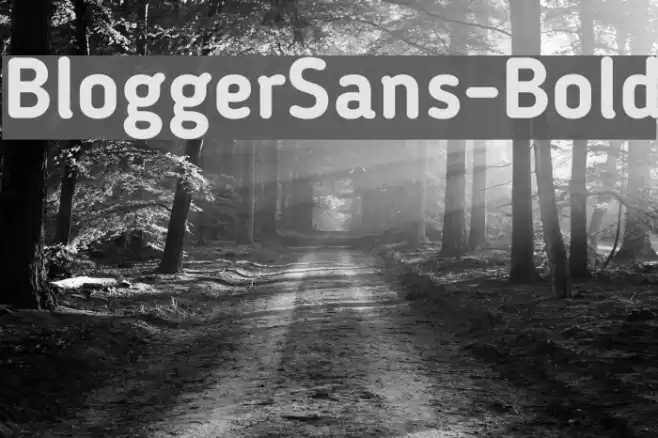 BloggerSans-Bold フォント examples
