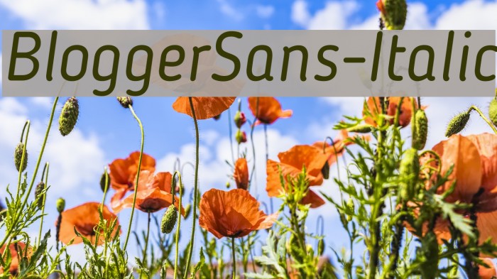 BloggerSans-Italic Font examples